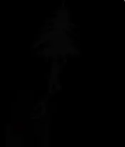 The Tracklines logo animation, with sound, as it opened the app